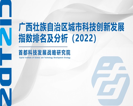 轮肏宫交【成果发布】广西壮族自治区城市科技创新发展指数排名及分析（2022）